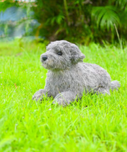 Glen of Imaal Terrier Stuffed Animal Clone